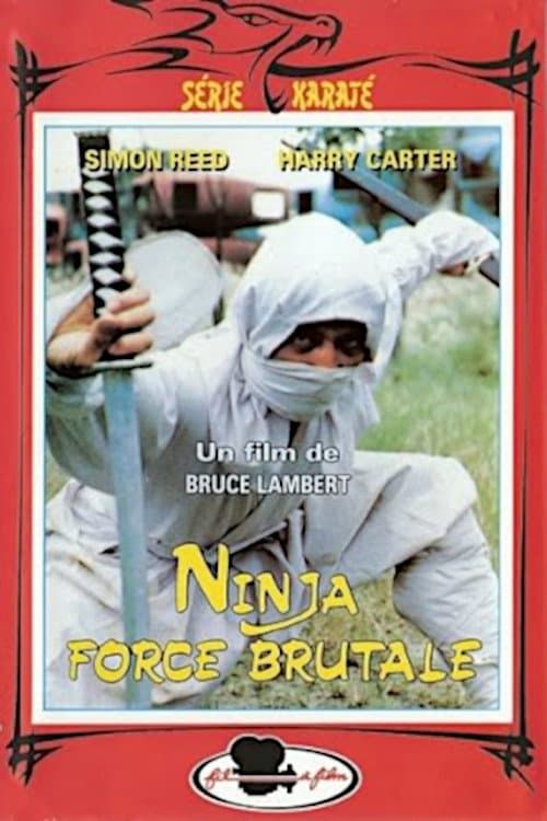 Ninja, the Violent Sorceror