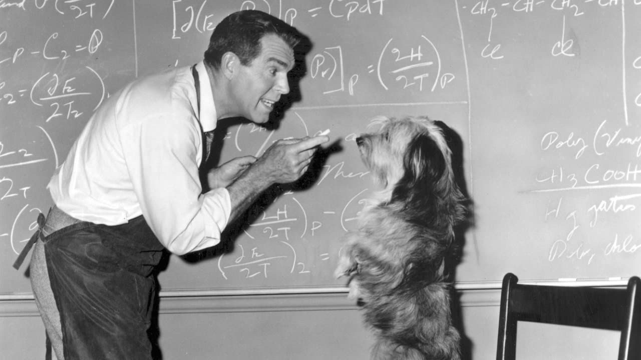 Forrest Lewis