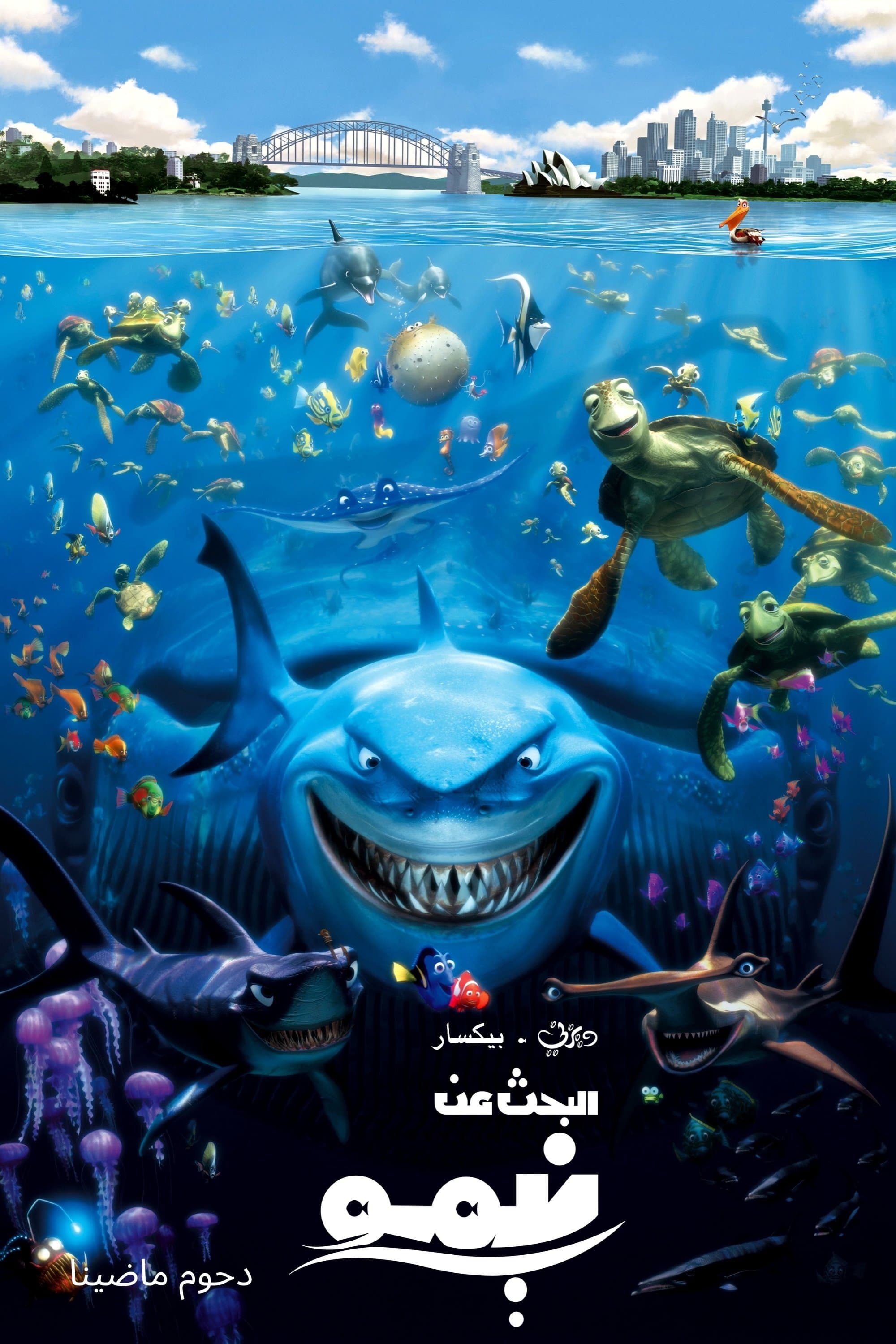 Finding Nemo