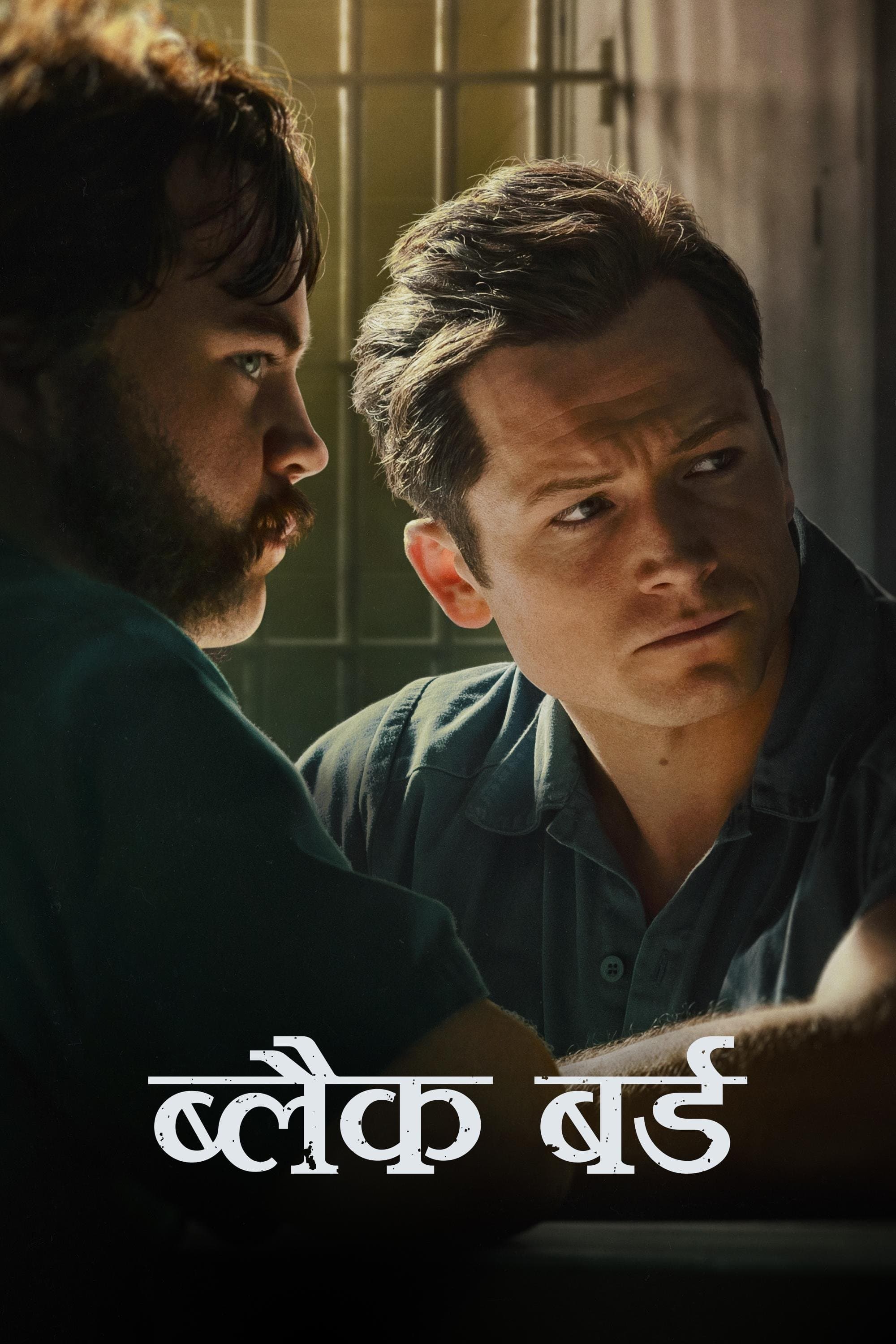 ब्लैक बर्ड