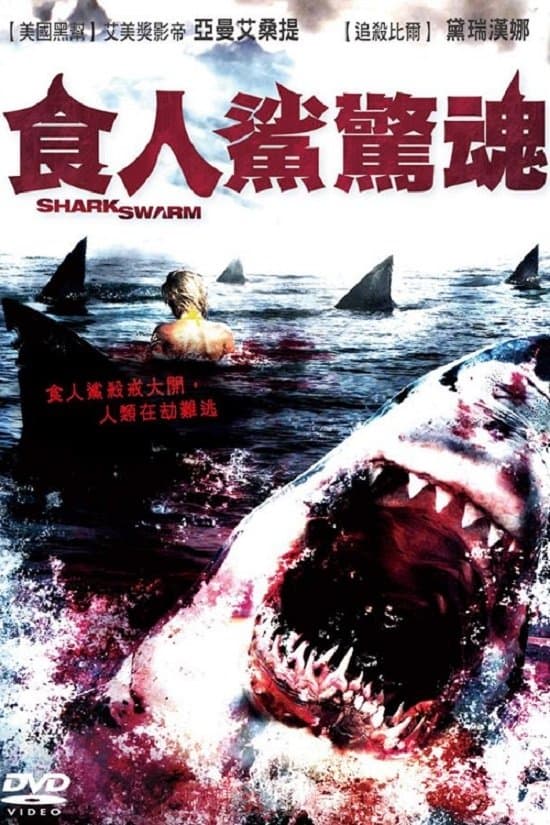 Shark Swarm