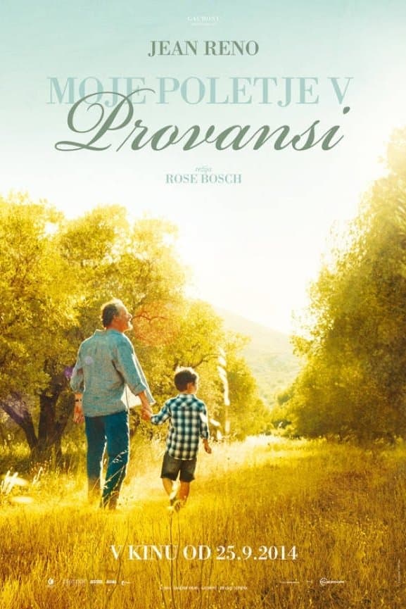 My Summer in Provence