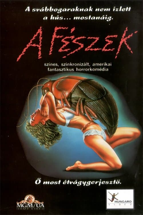 A fészek