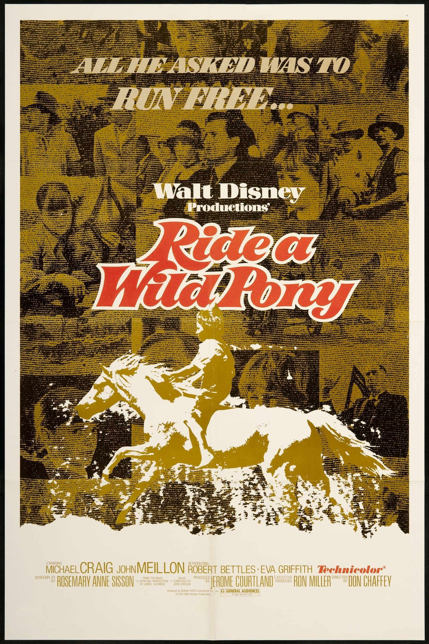 Ride a Wild Pony