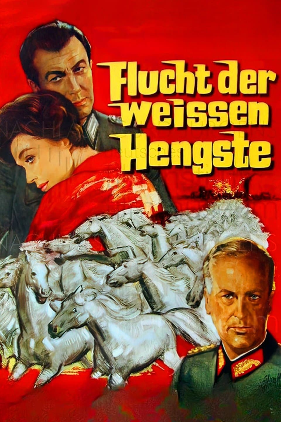 Miracle of the White Stallions