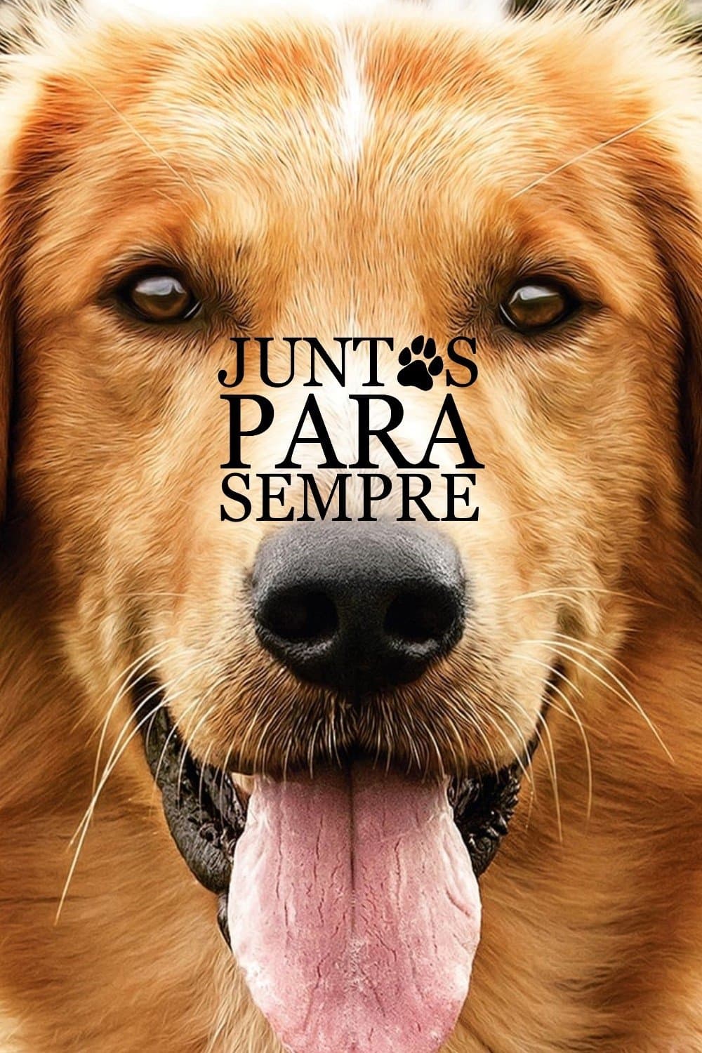 A Dog's Purpose