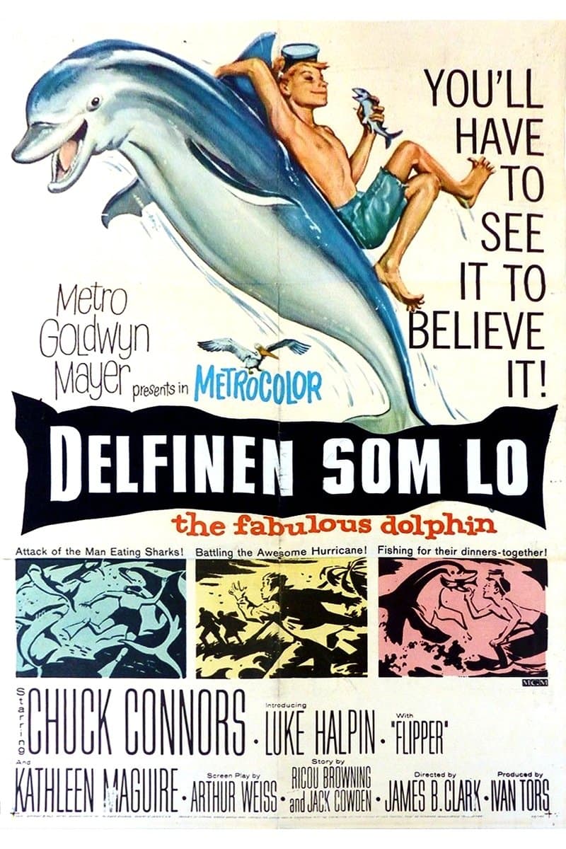 Flipper