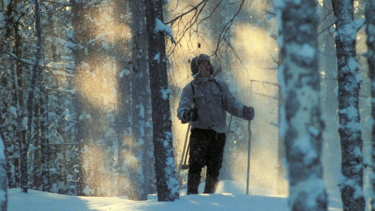 Liisa Paatso