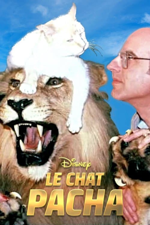 Le Chat Pacha