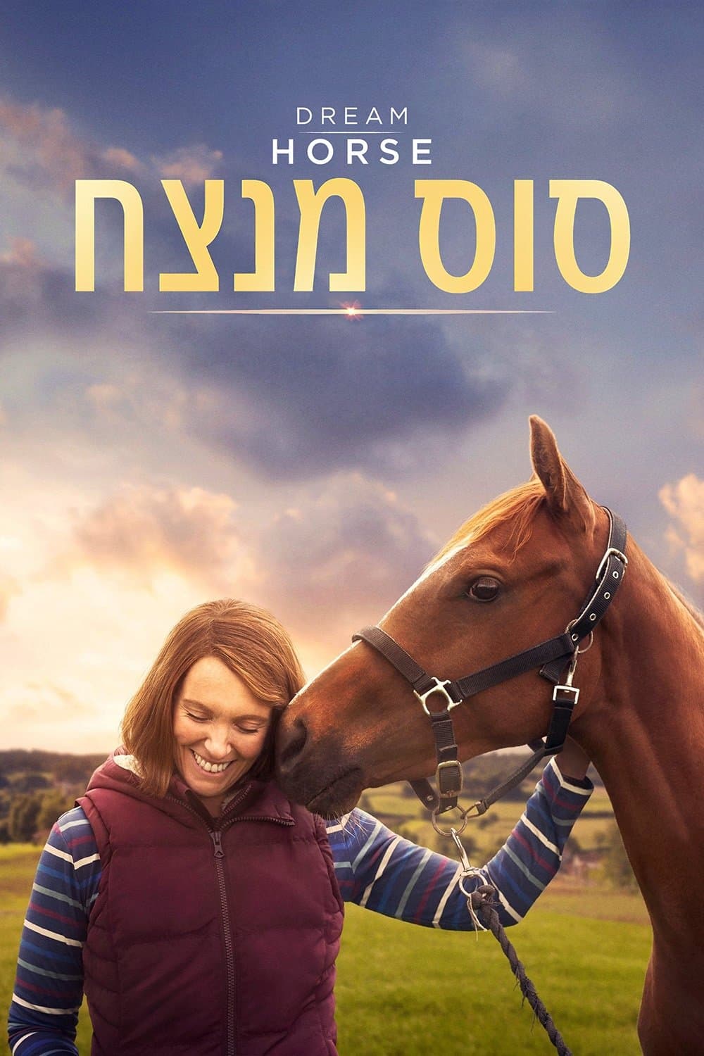סוס מנצח