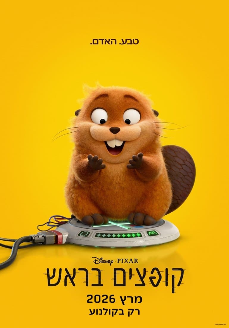 קופצים בראש