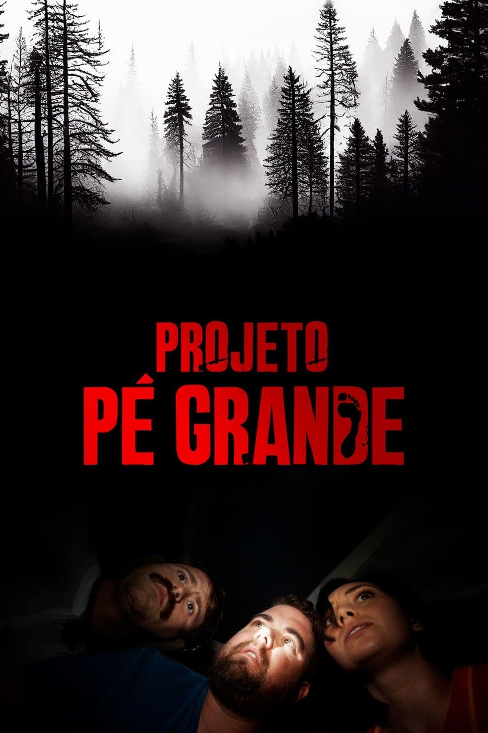 The Bigfoot Project