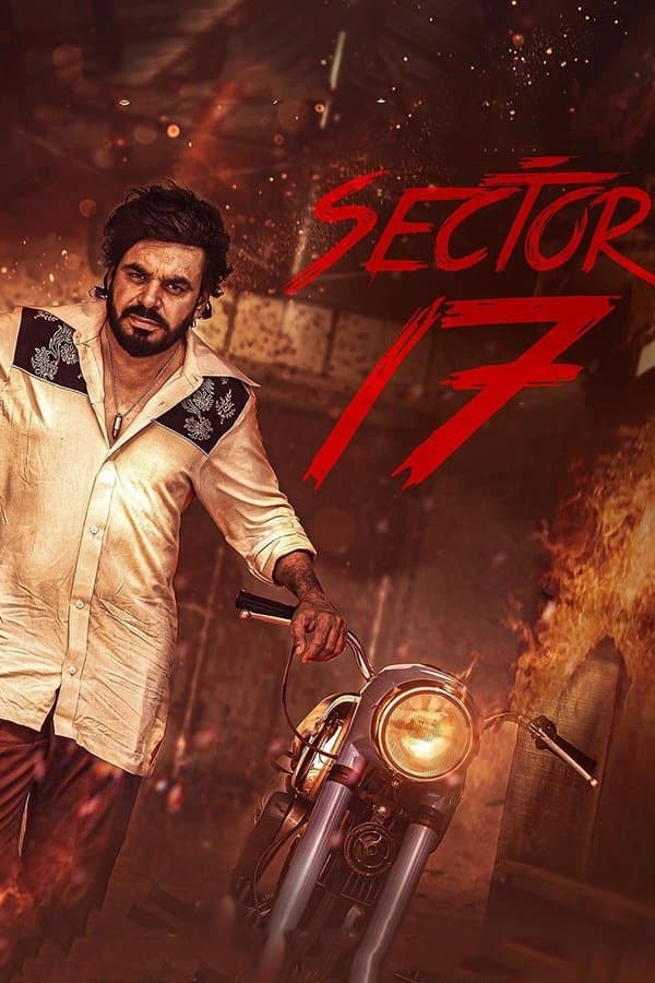 Sector 17