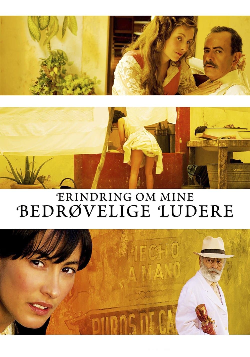 Erindring om mine berøvelige ludere