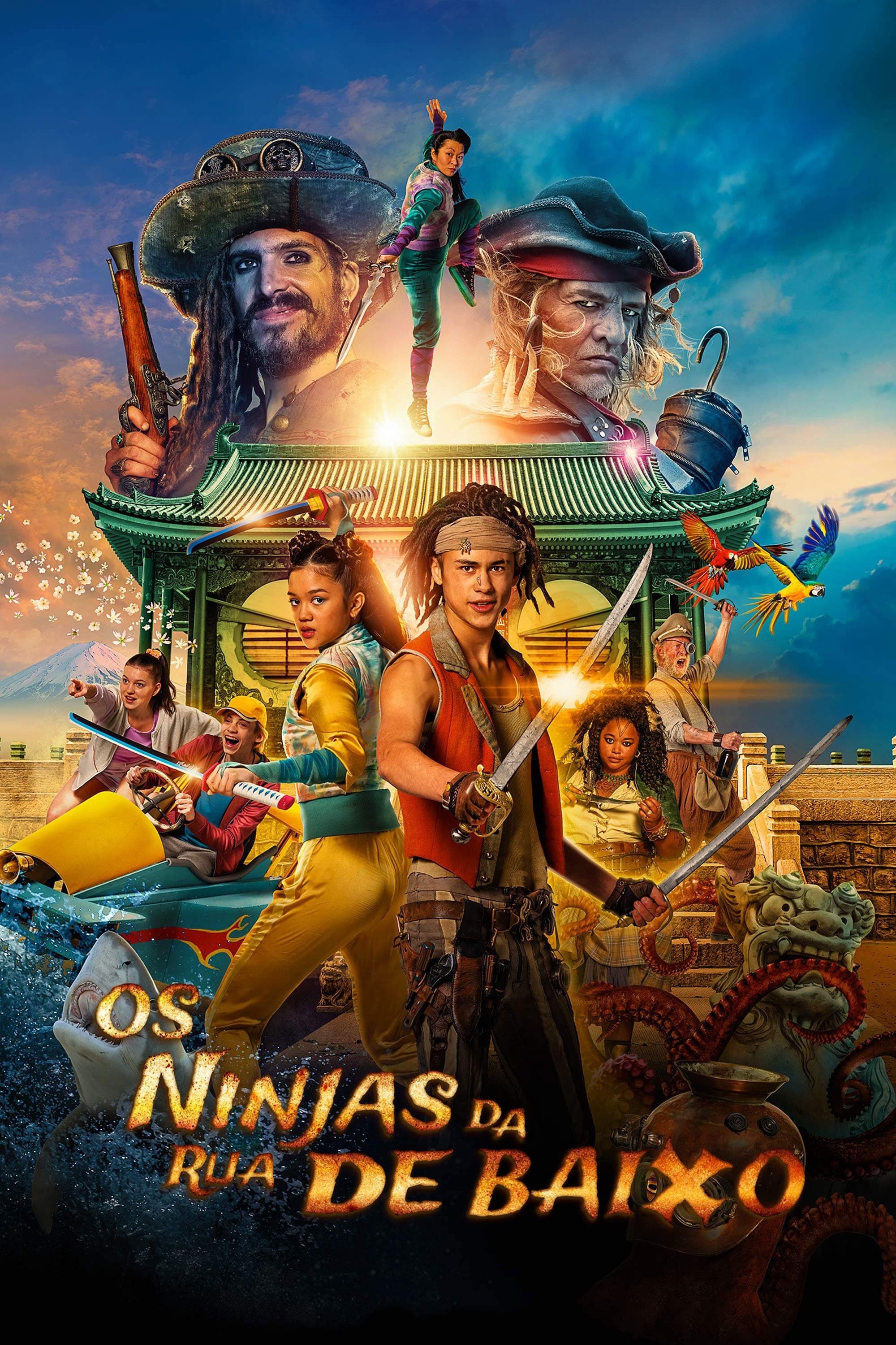 Pirates Down the Street II: The Ninjas from Across