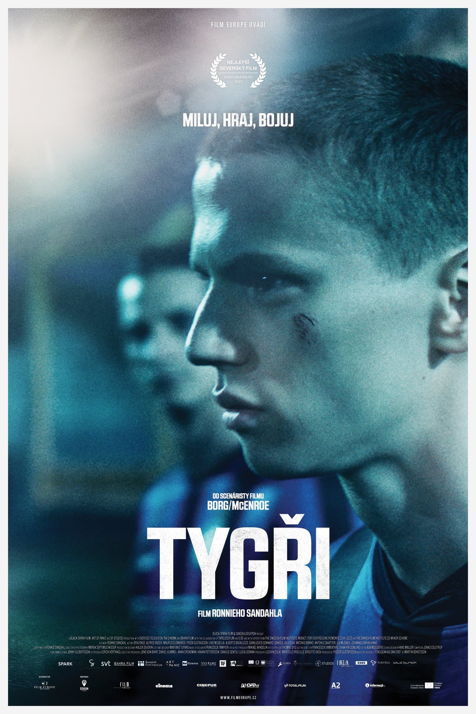 Tygři