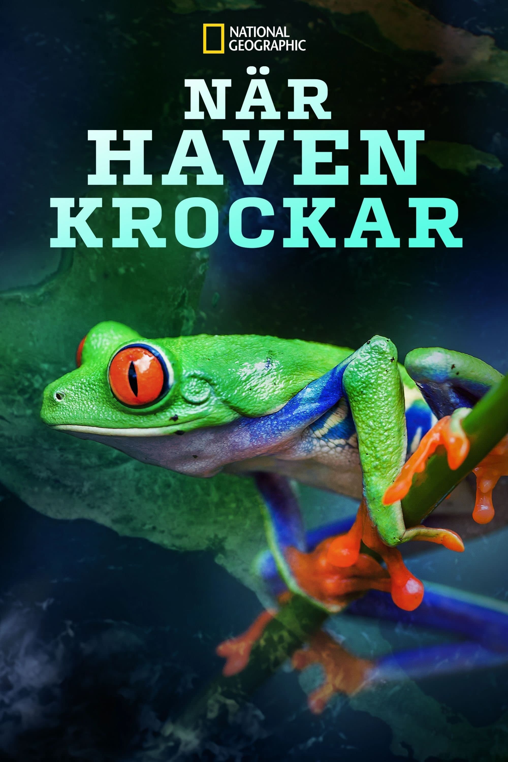 När Haven Krockar