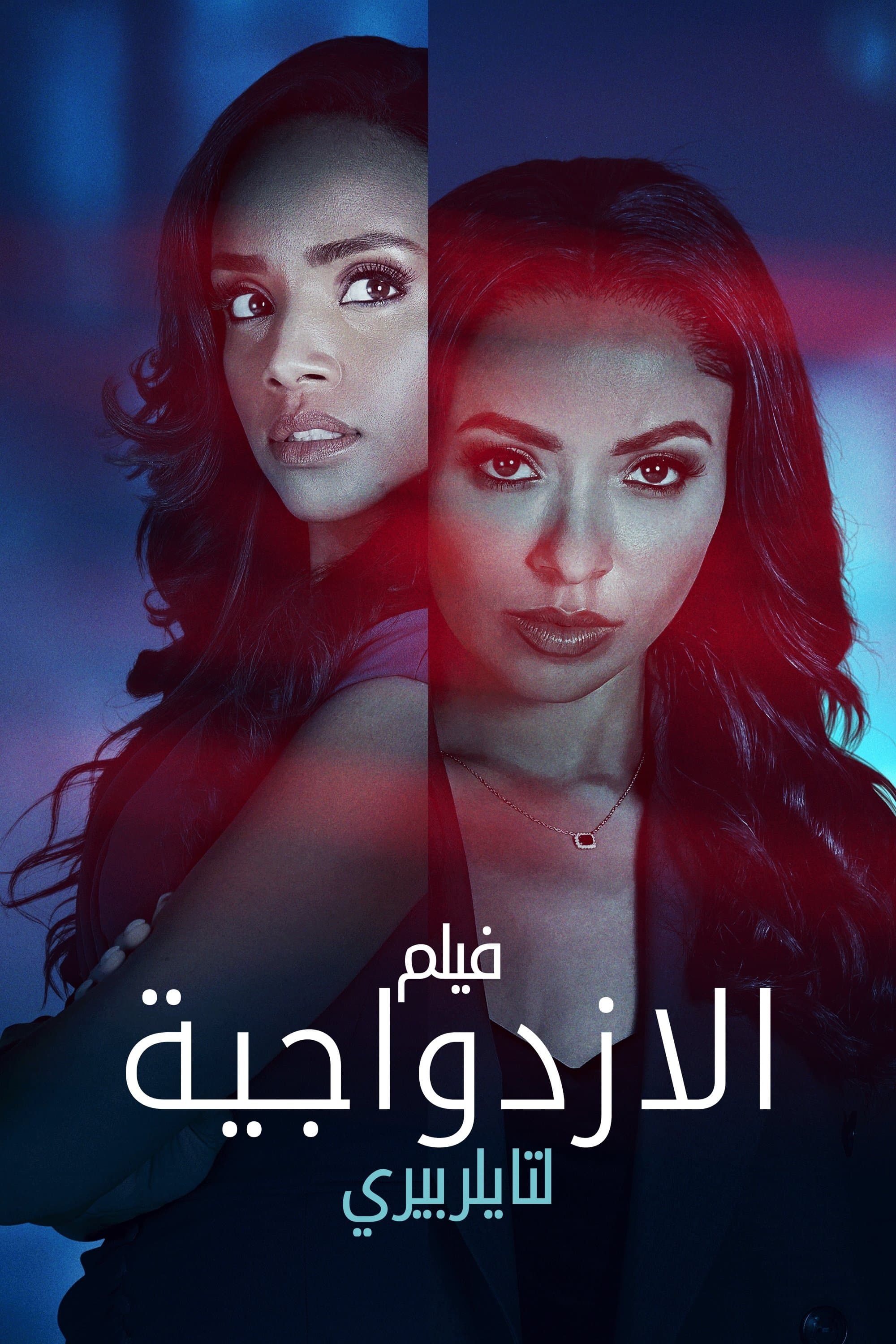 Tyler Perry's Duplicity