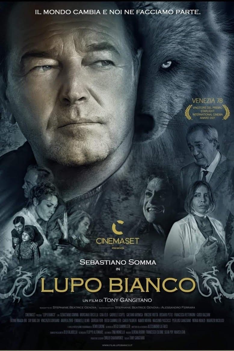 Lupo bianco