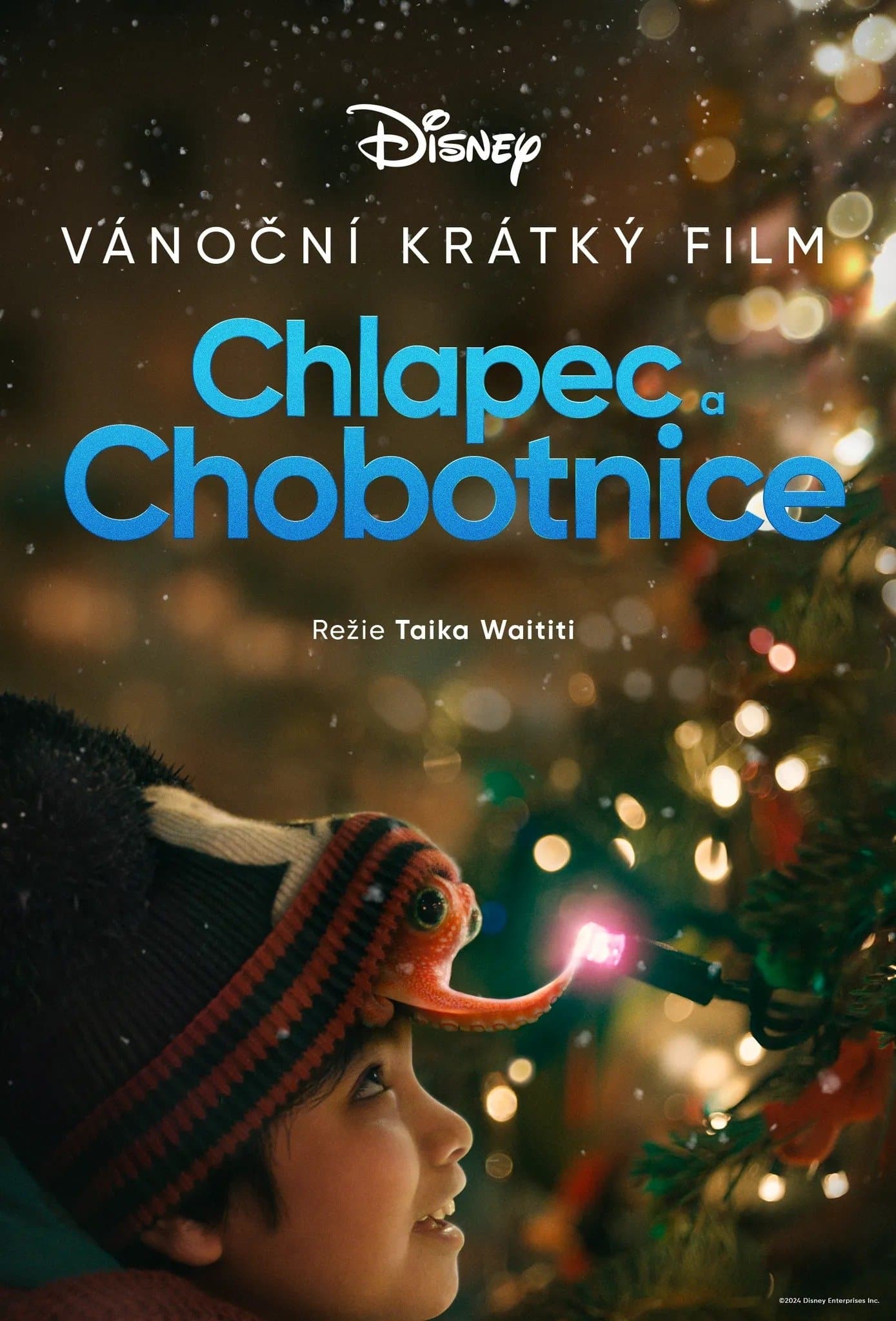 Chlapec a chobotnice