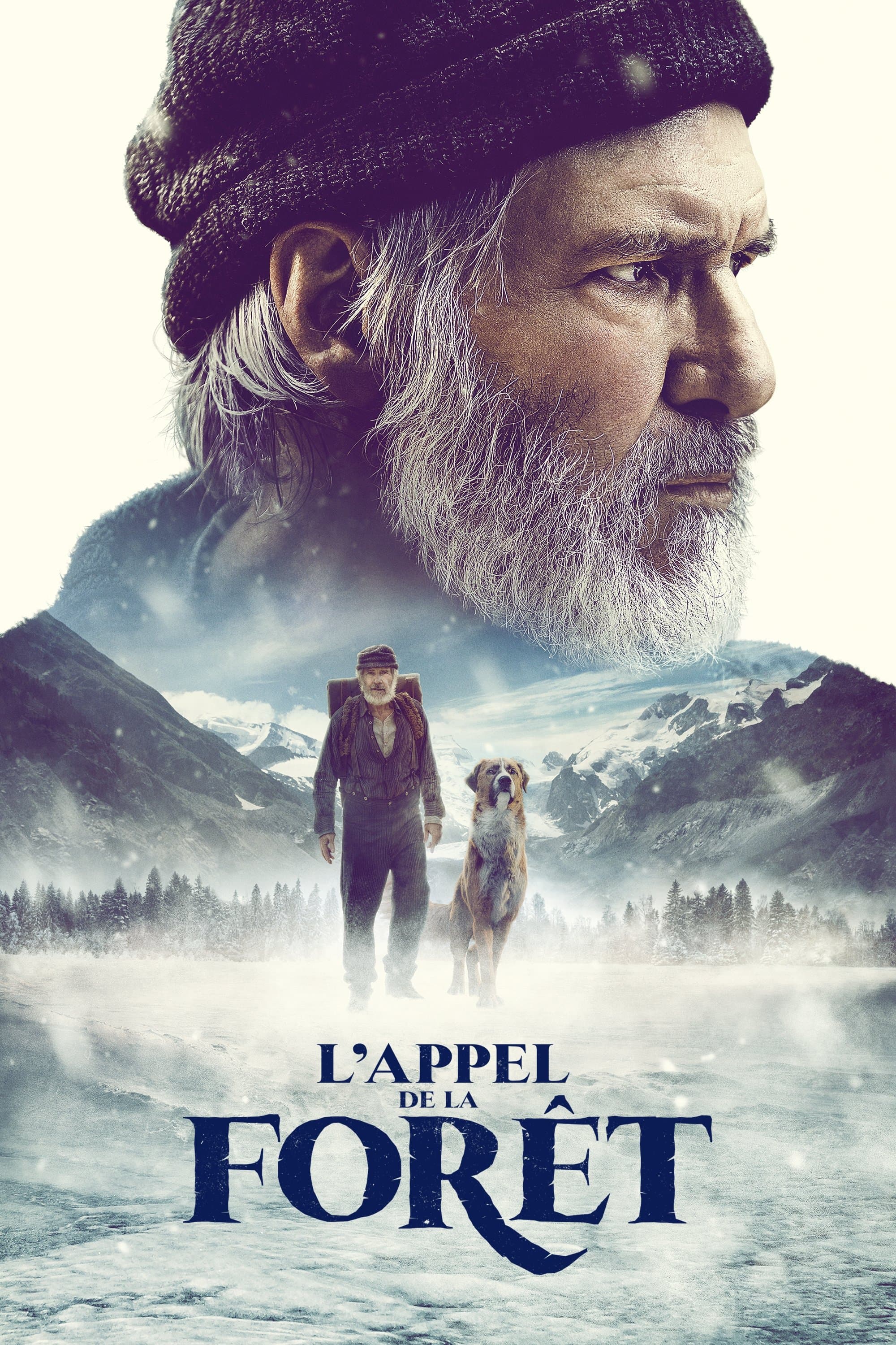 L'appel de la forêt