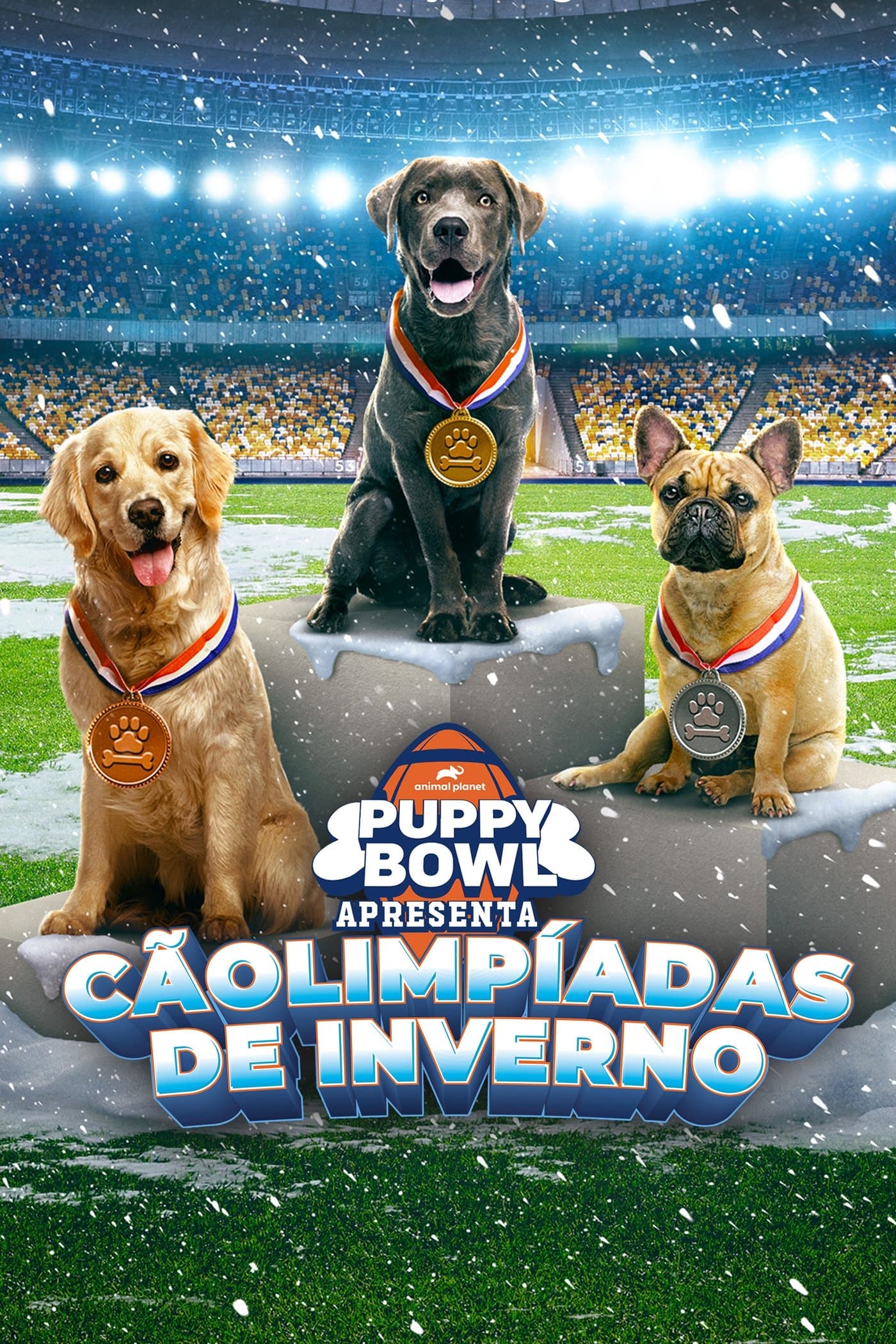 Puppy Bowl Presents: The Winter Games