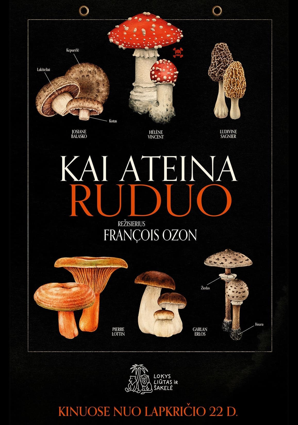 Kai ateina ruduo