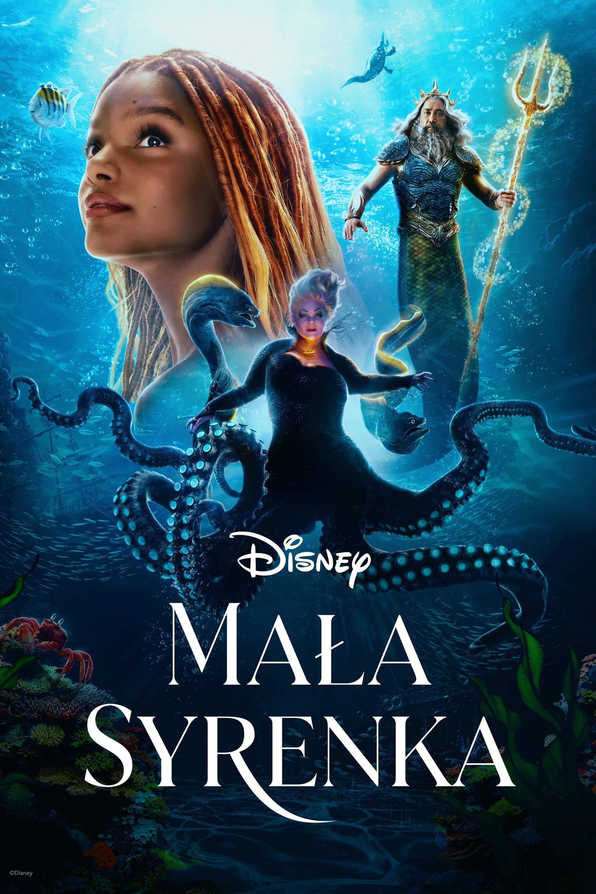 Mała syrenka