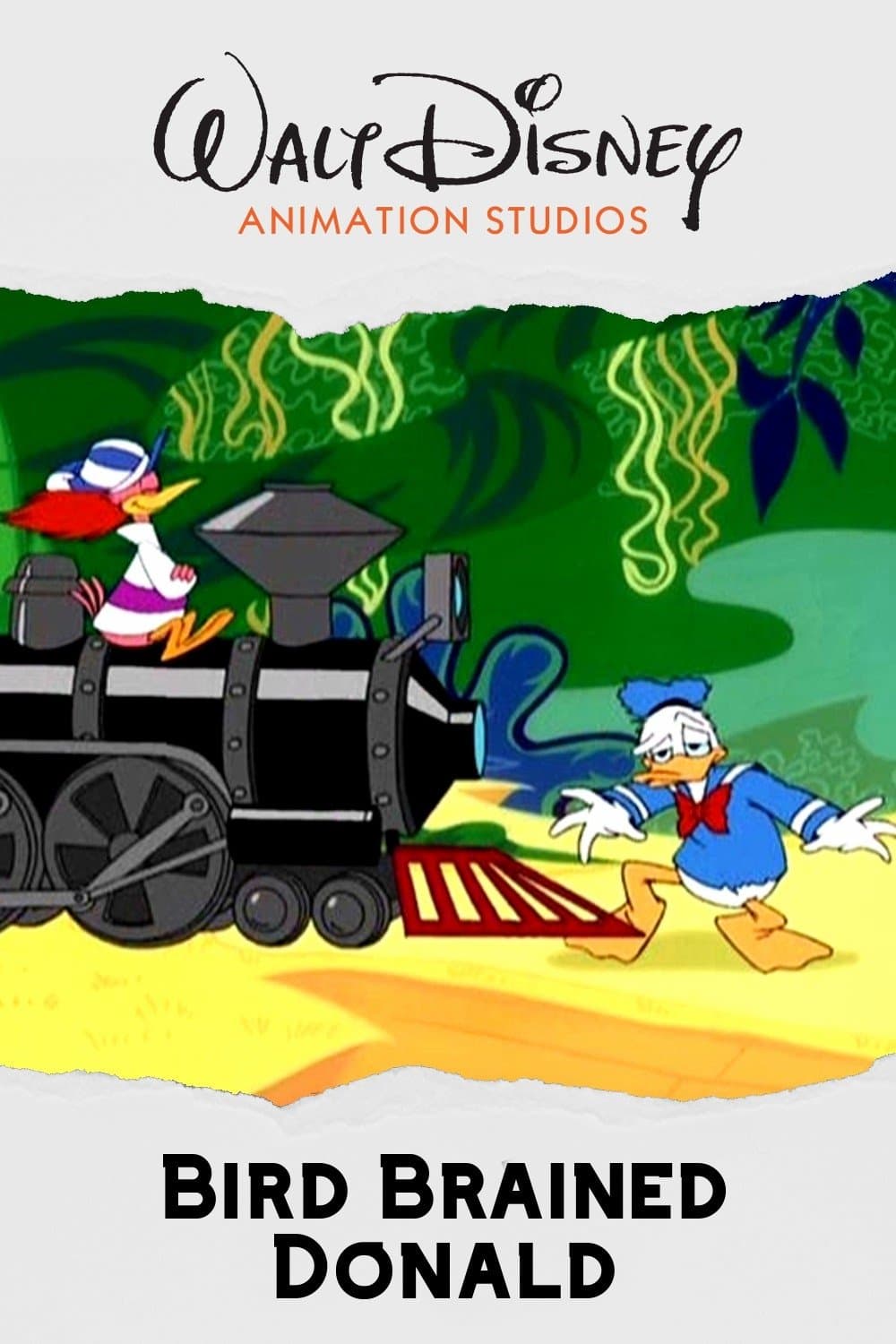 Bird Brained Donald