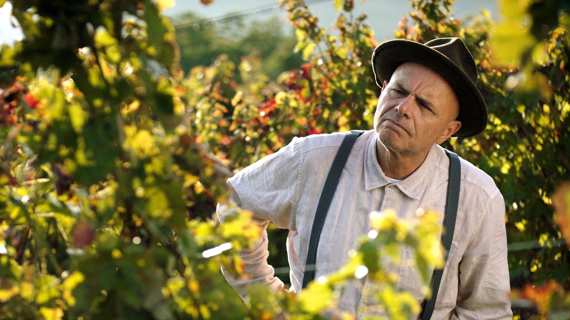 Joe Pantoliano