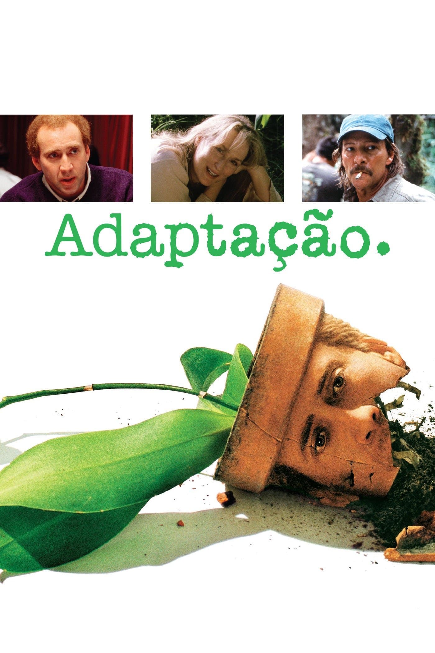 Adaptation.
