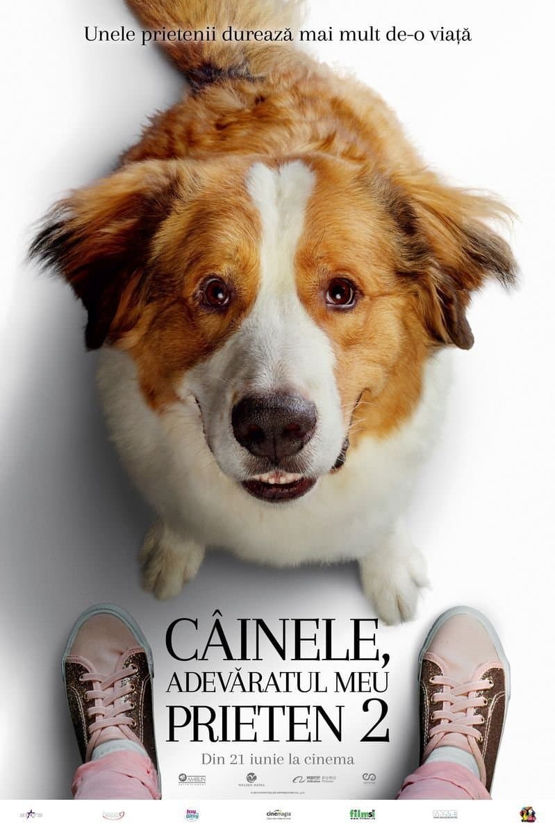 A Dog's Journey