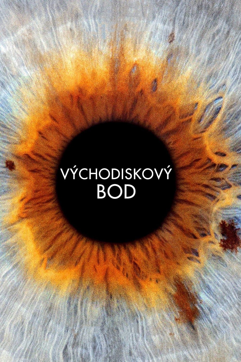 Východiskový bod