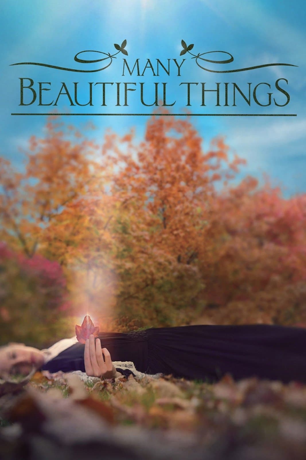 Many Beautiful Things