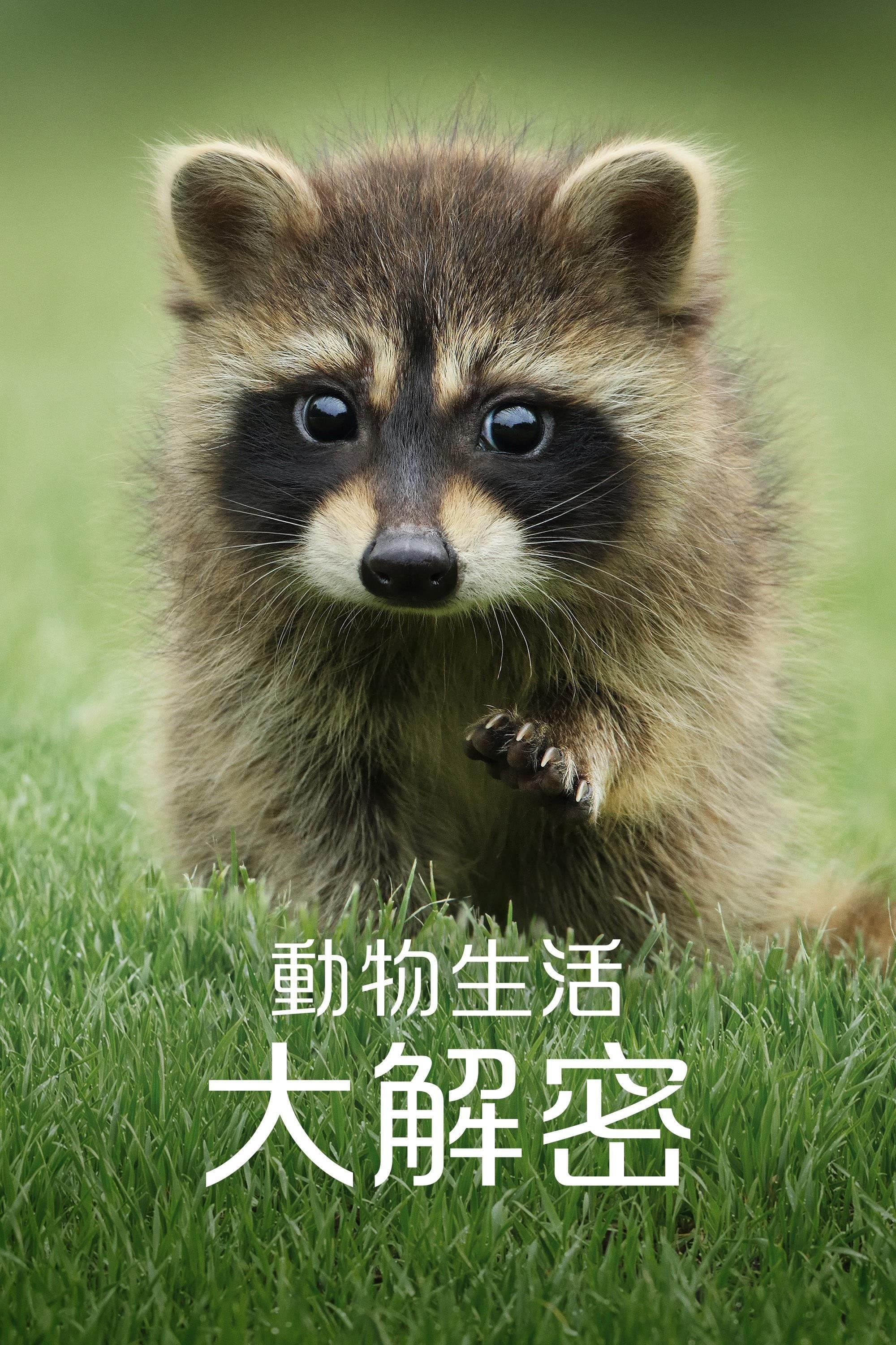 動物生活大解密