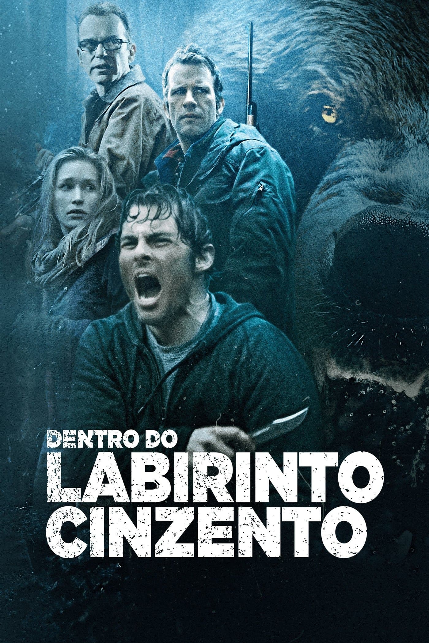 Into the Grizzly Maze