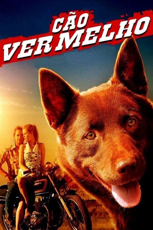 Red Dog