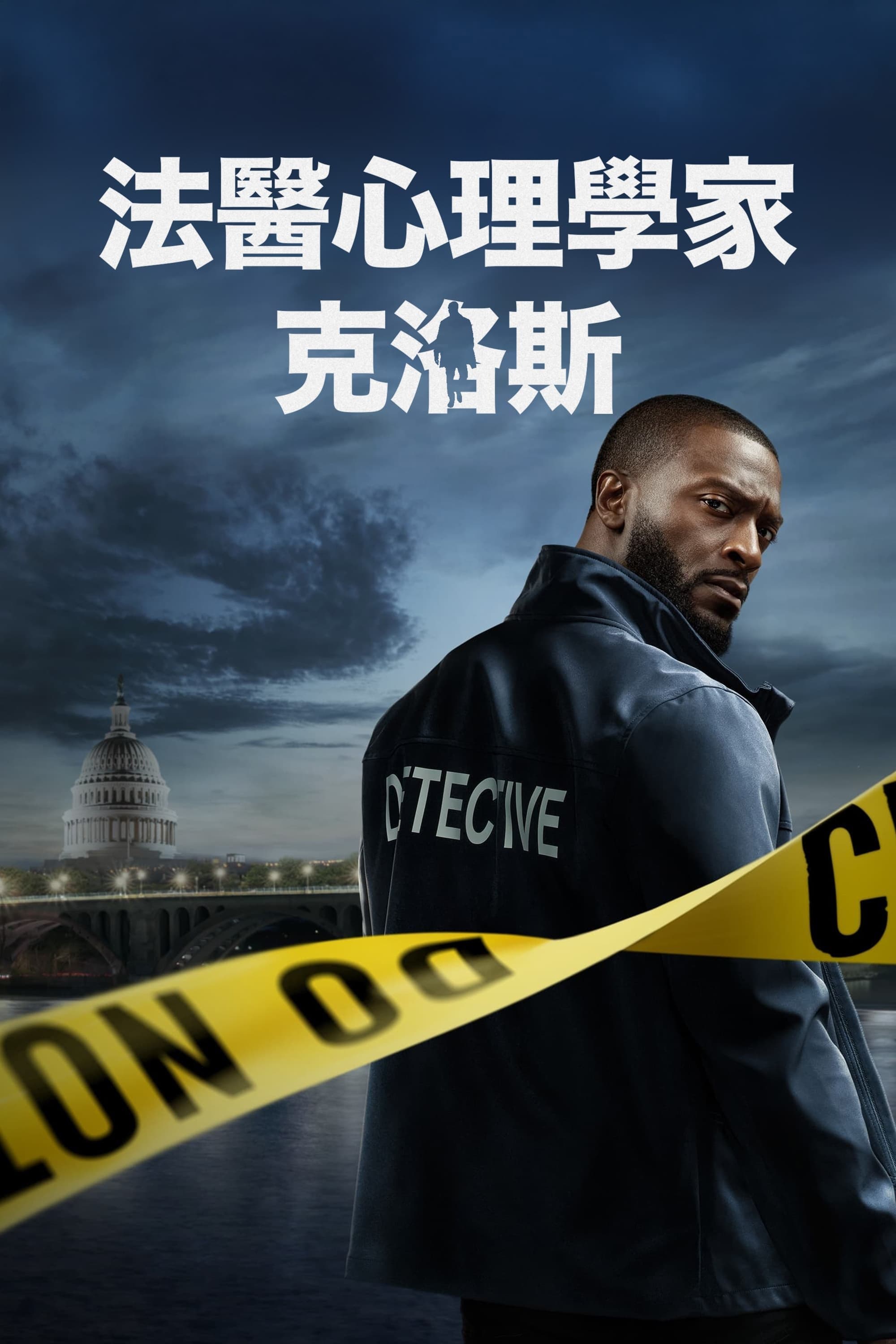 神探追缉令