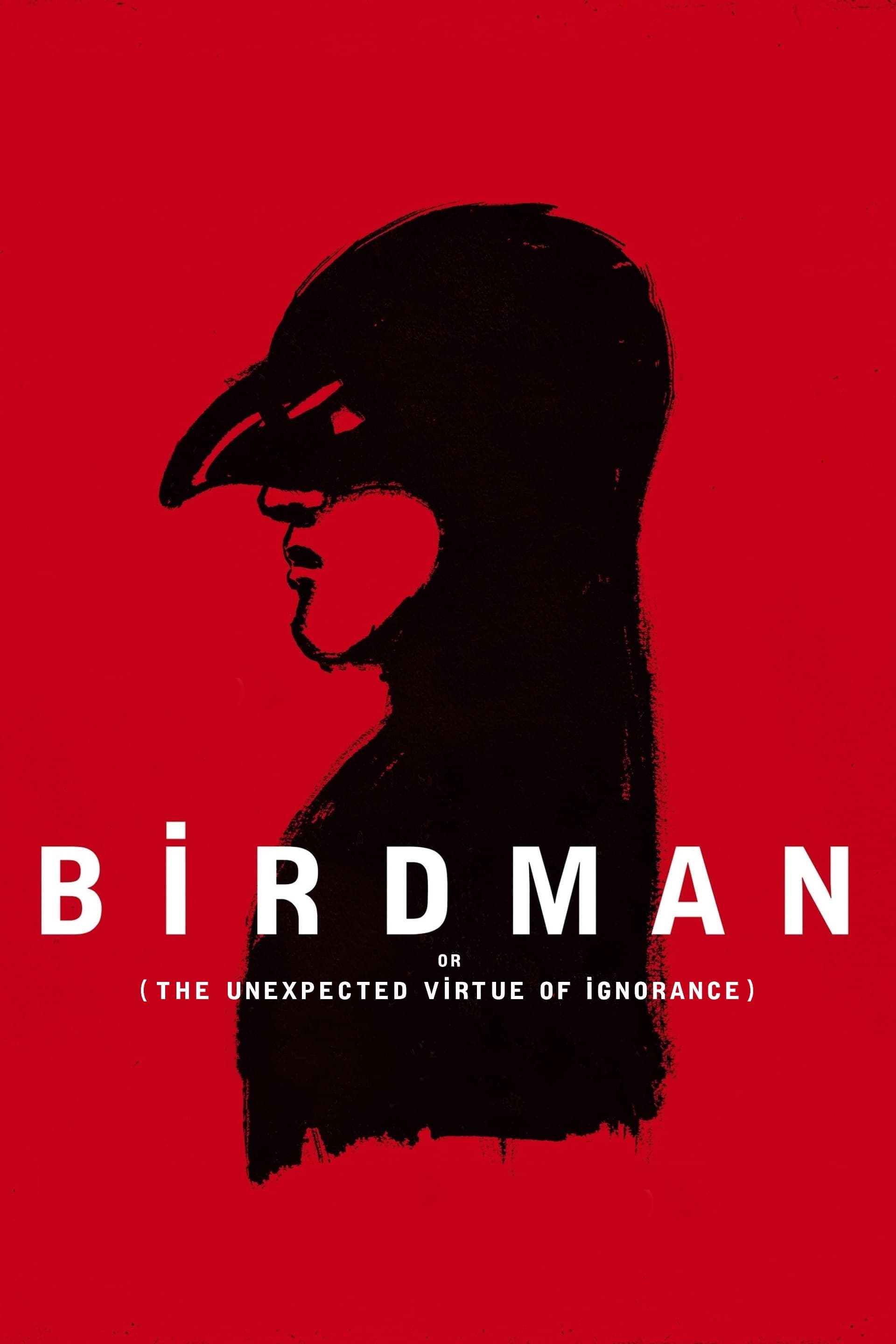 Birdman or (The Unexpected Virtue of Ignorance)