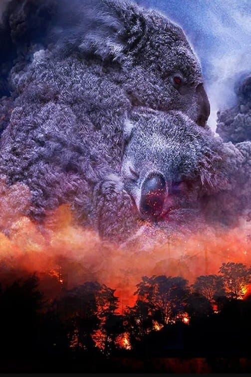 Después de los incendios forestales (Wild Australia: After the Fires)