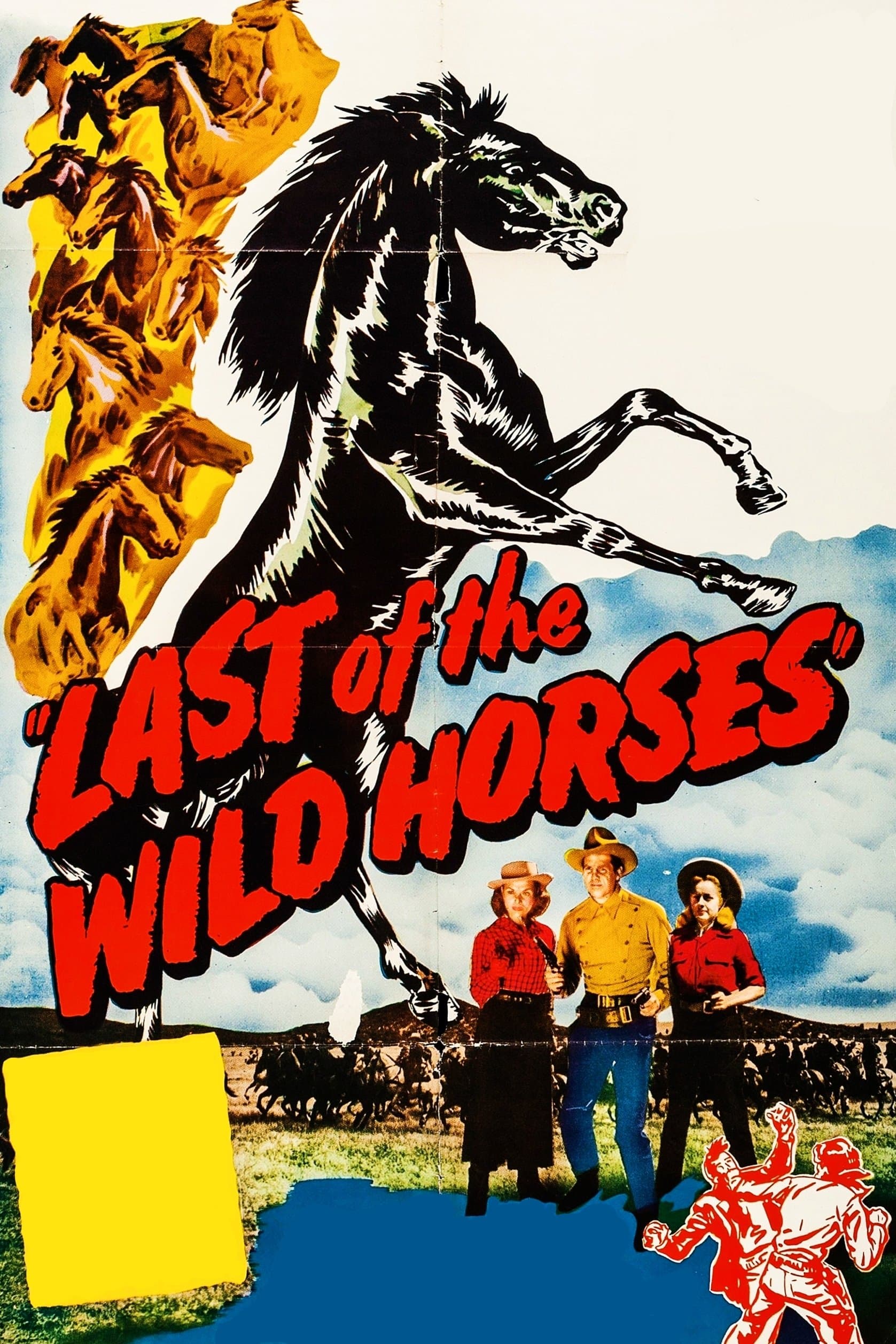 Last of the Wild Horses