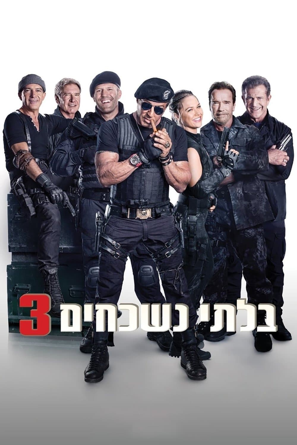 בלתי נשכחים 3