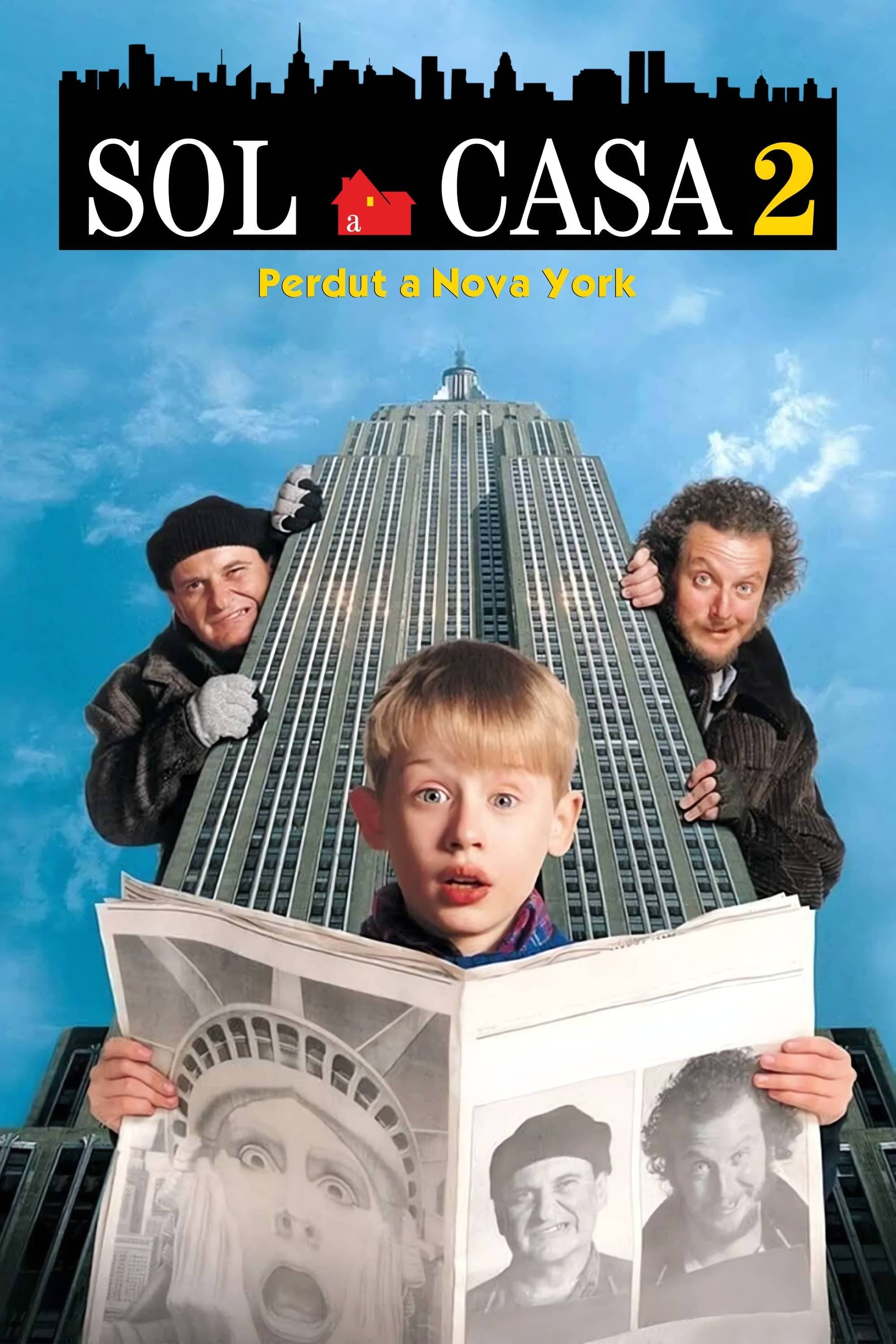 Sol a casa 2: Perdut a Nova York