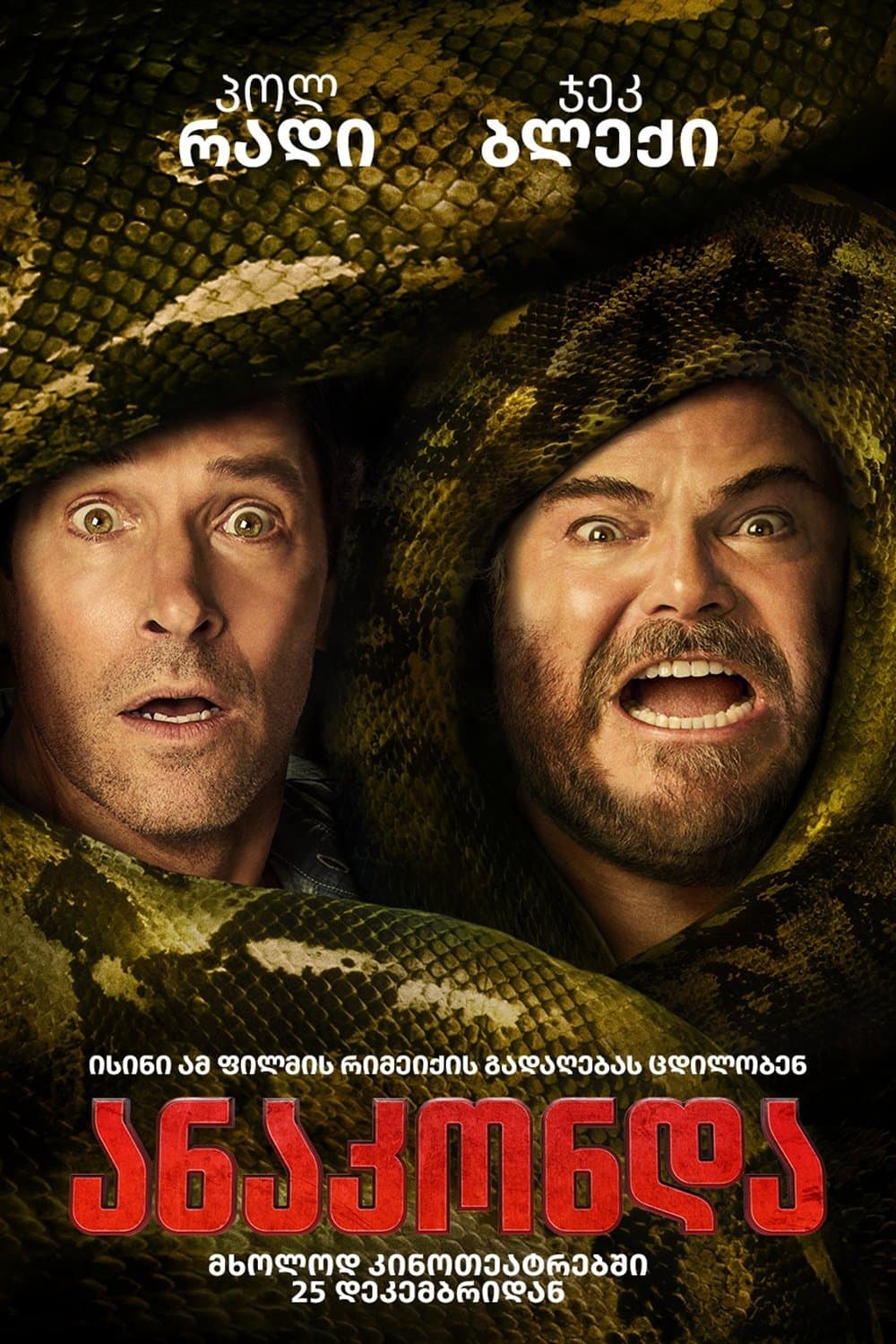 ანაკონდა