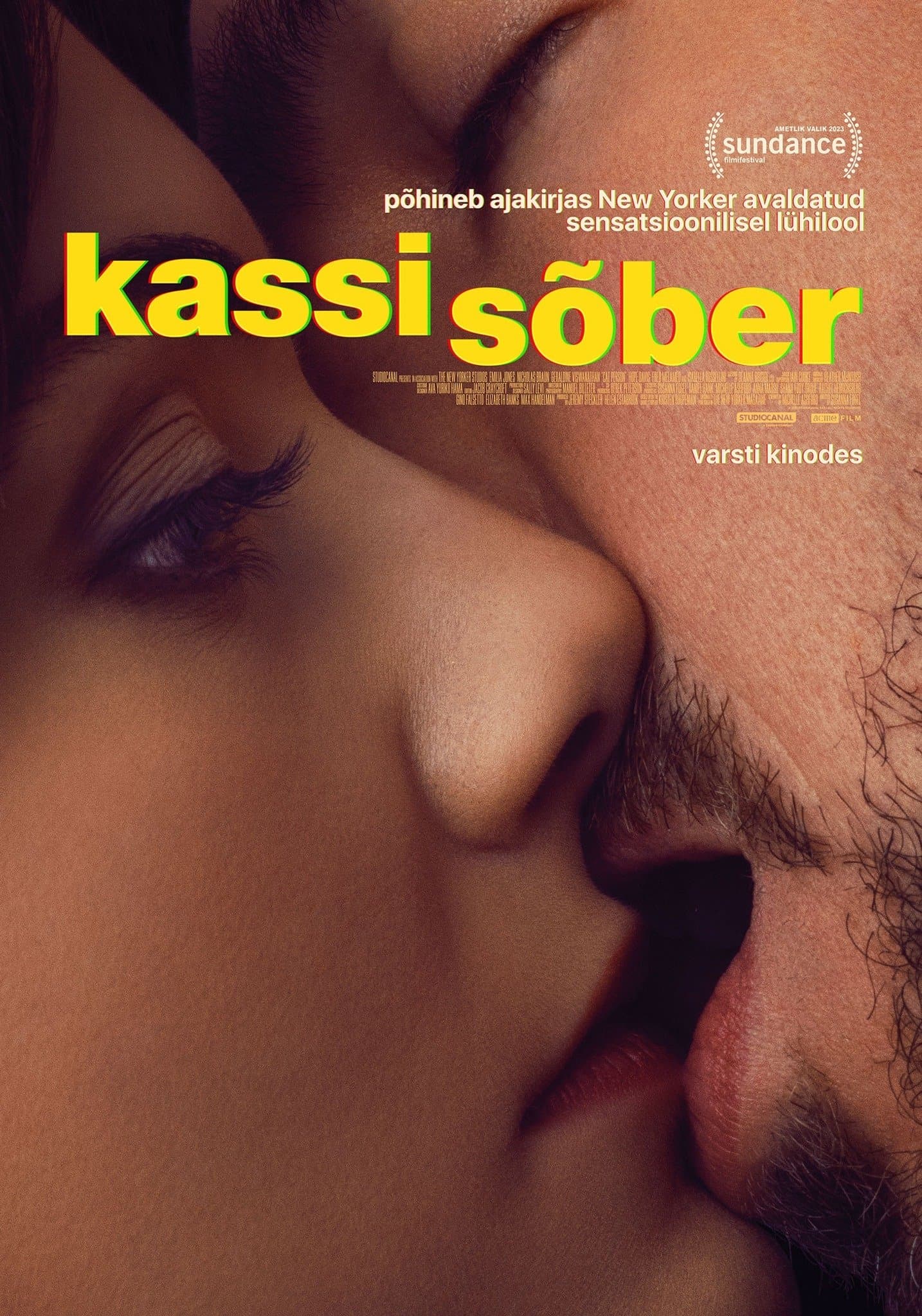 Kassisõber