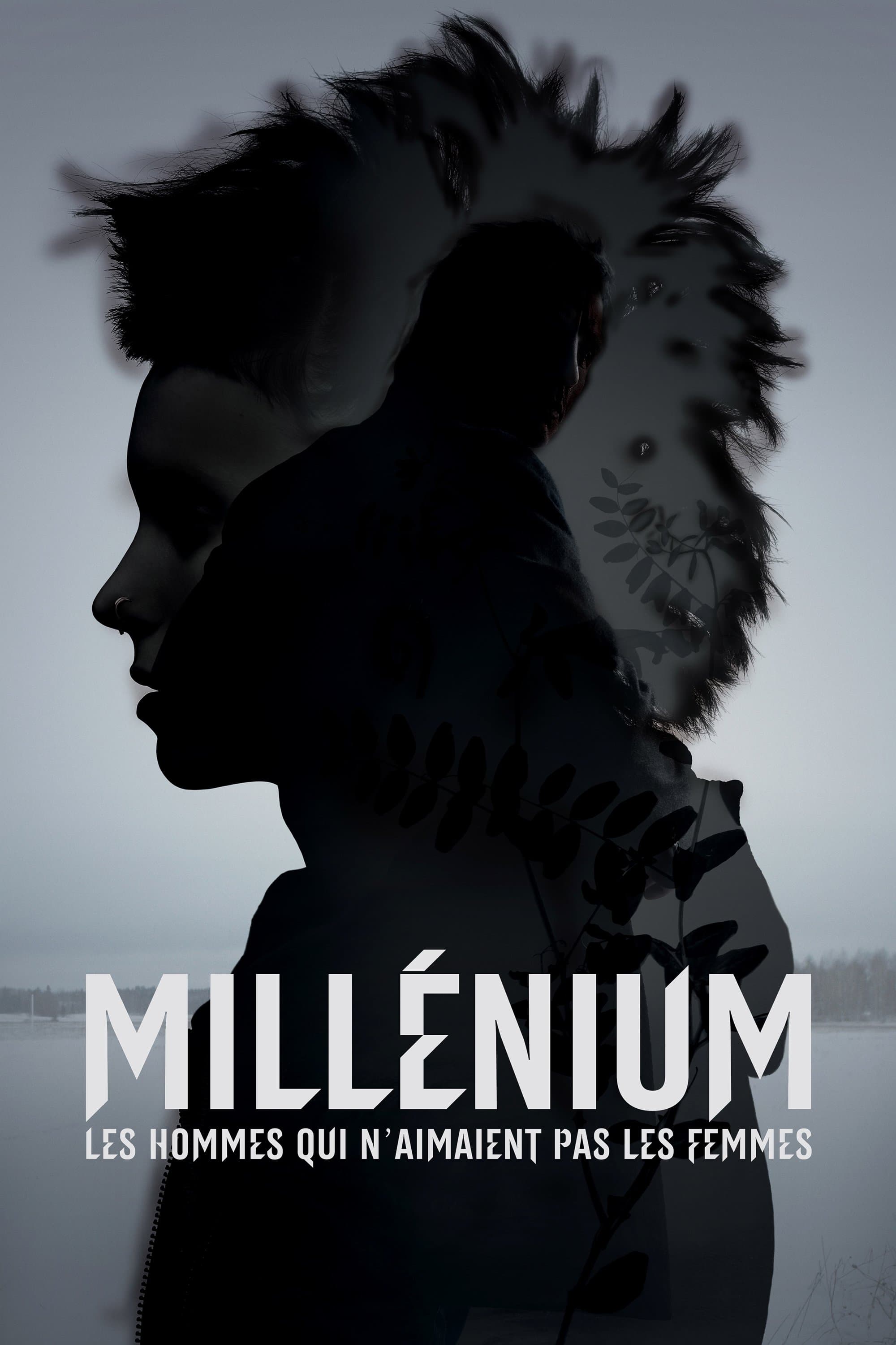 Millénium : Les hommes qui n'aimaient pas les femmes