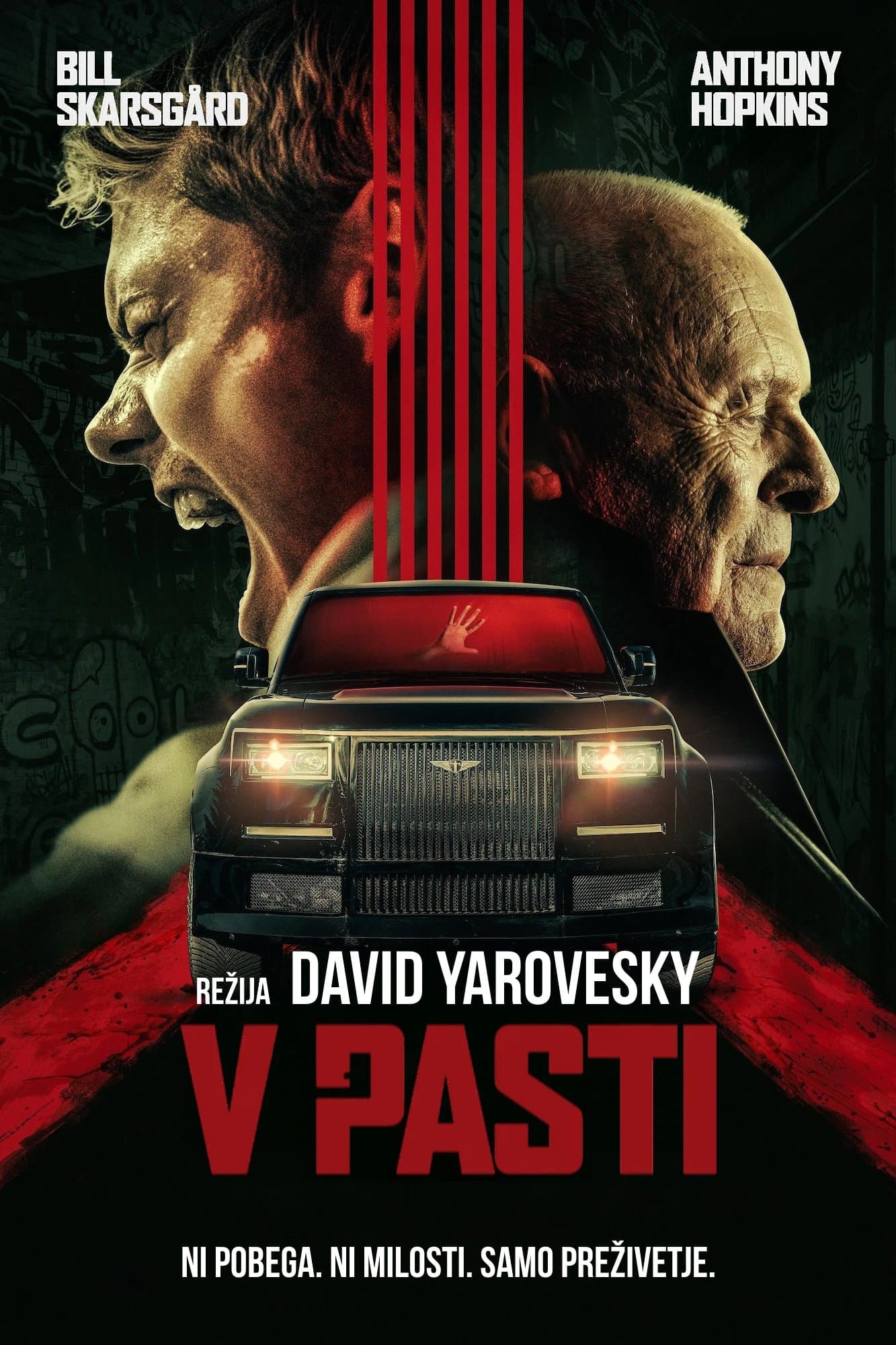 V pasti