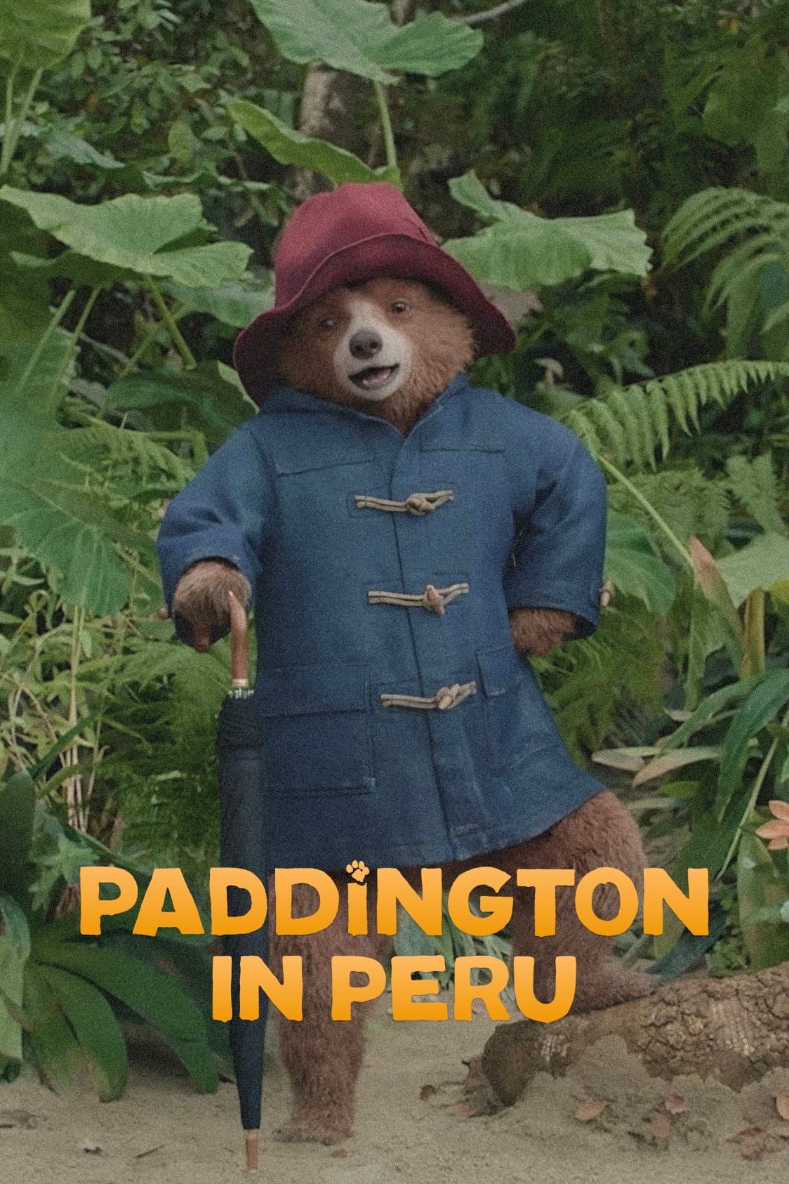 Paddington in Peru
