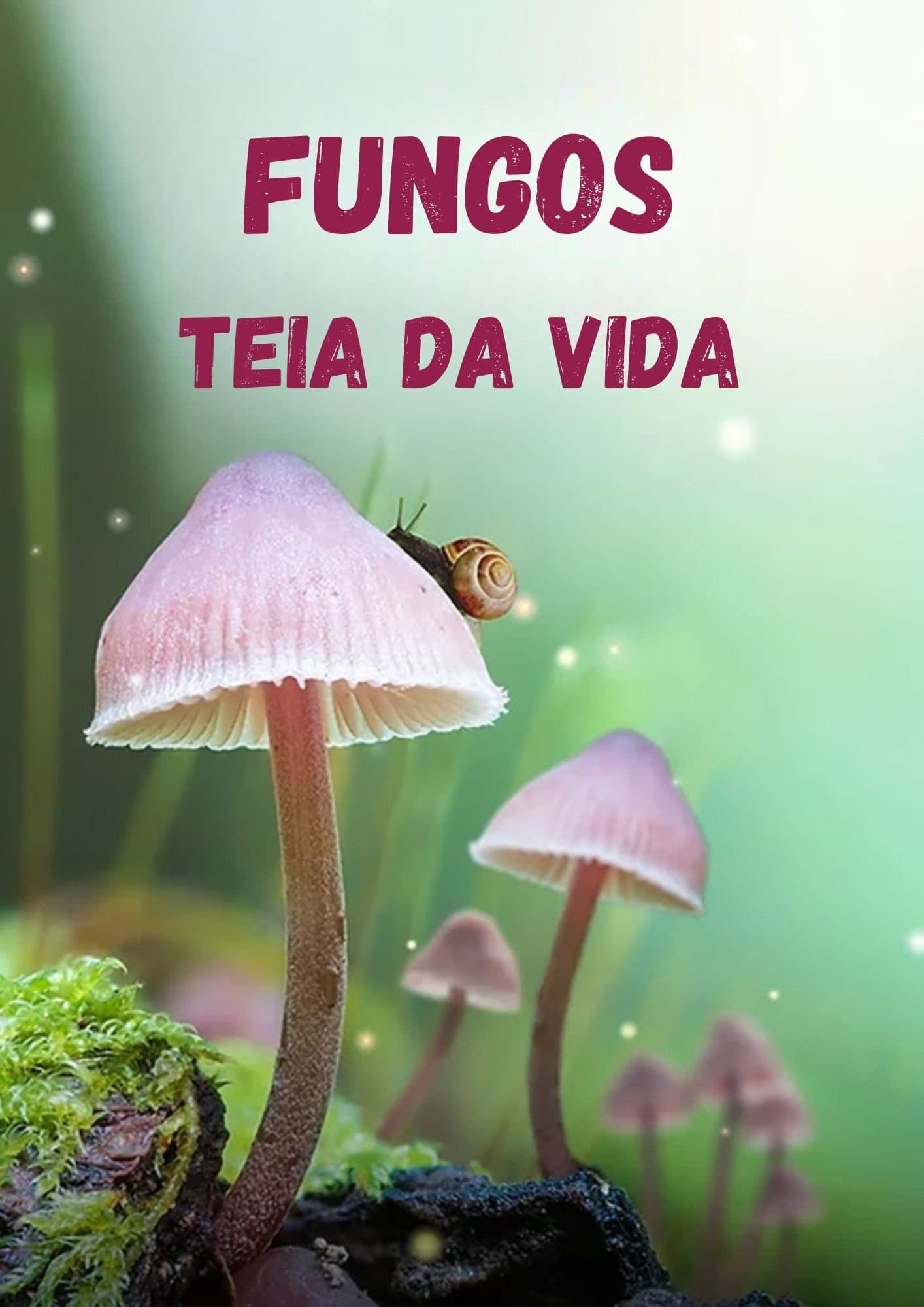 Fungi: The Web of Life