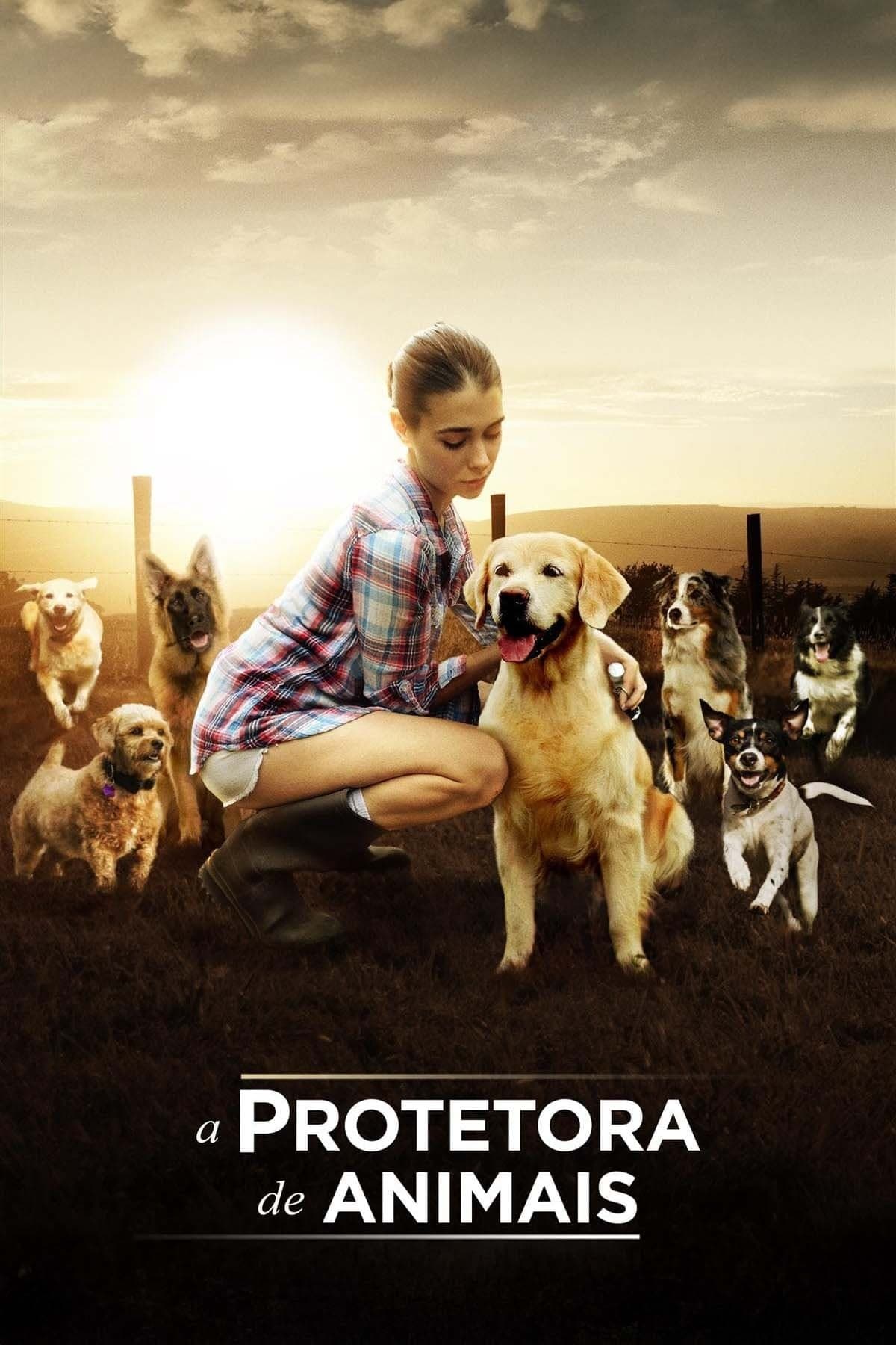 The Dog Lover